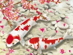 简介：