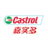 Castrol Hydo E46