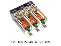 EVS-250/1140VͽսӴ