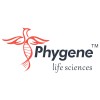 Phygene | Western Blot